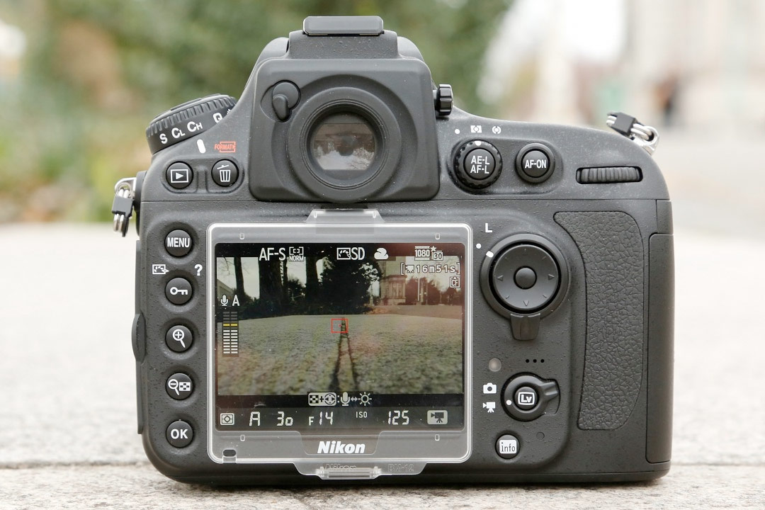 Nikon D800 body
